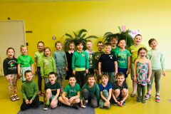 Zaļā diena grupā
